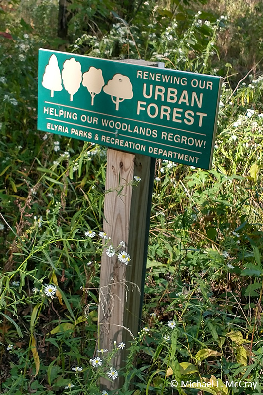 East Park Trail is between two streets