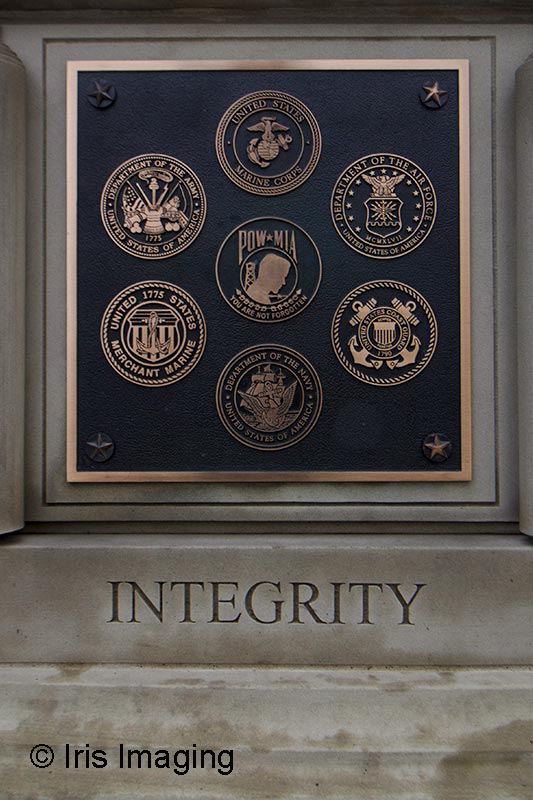 American Branches of Service