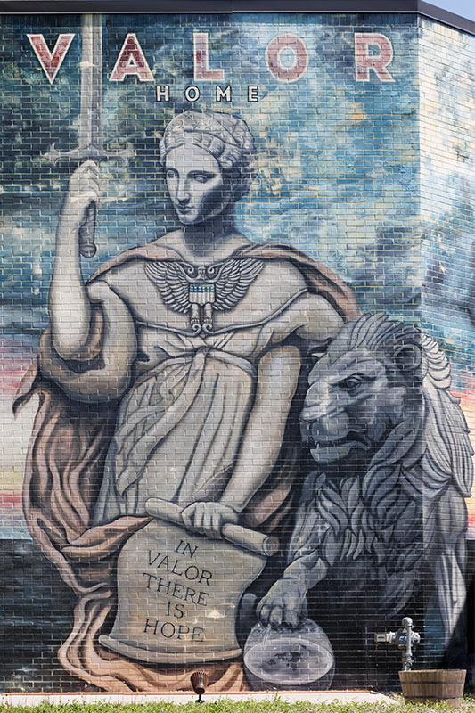 Valor Home mural artist Mike Sekletar with assistance Brian Goodwin