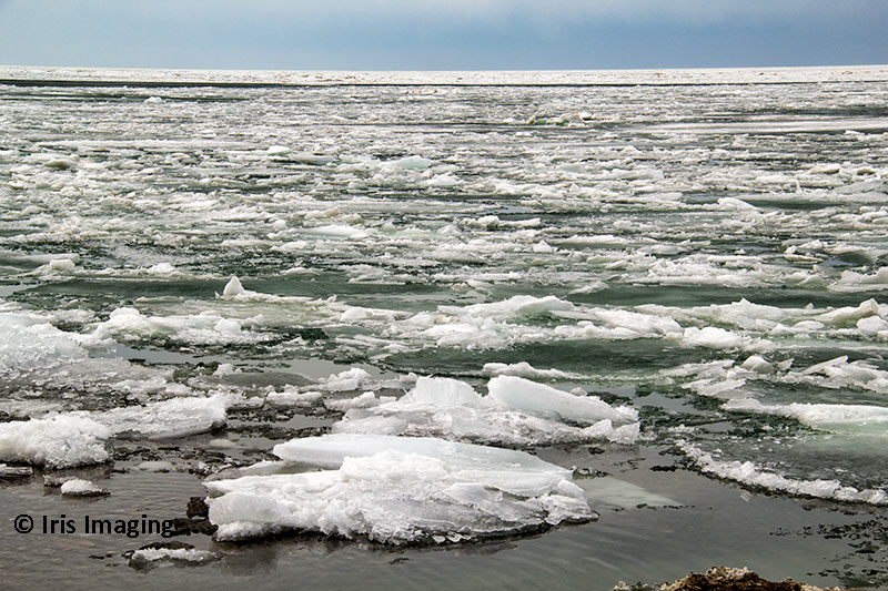 Lake Erie in the winter