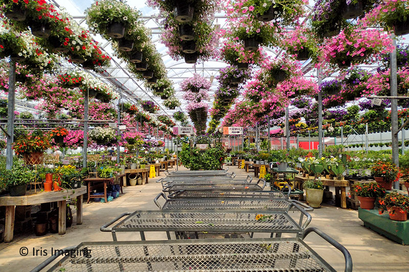 Hook's Greenhouse, Farm and Gift Shop
