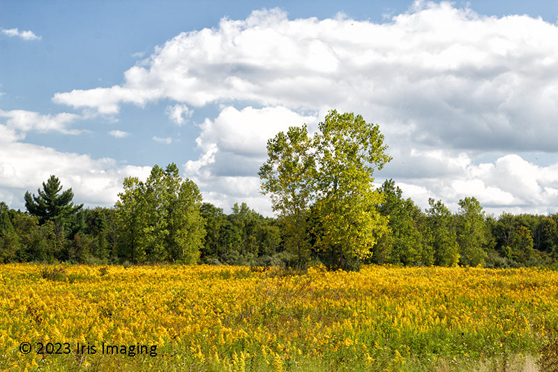 Lorain Metro Parks Charlemont Reservation
